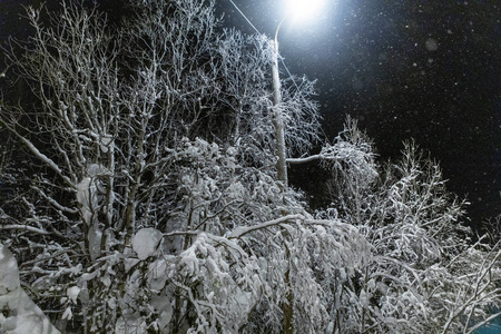 冬夜公园里灯火通明的小巷图片