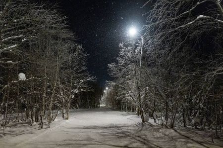 冬夜公园里灯火通明的小巷图片