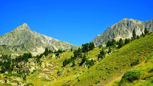 小山 公园 岩石 法国 比利牛斯山脉 夏天 自然 旅行 环境