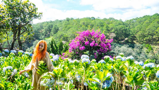 夏天 自然 花园 美丽的 风景 植物 公园