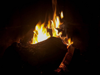 在一个舒适的壁炉里燃烧的树林