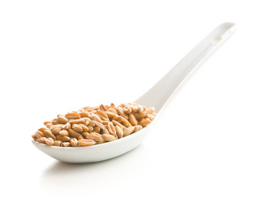 纤维 营养物 小麦 自然 素食主义者 谷类食品 生物 全麦