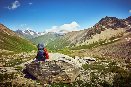 令人惊叹的山景，野生动物的旅行，到山上