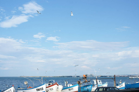 自由 夏天 建筑学 海鸥 自然 巡航 海湾 仓库 运输 城市