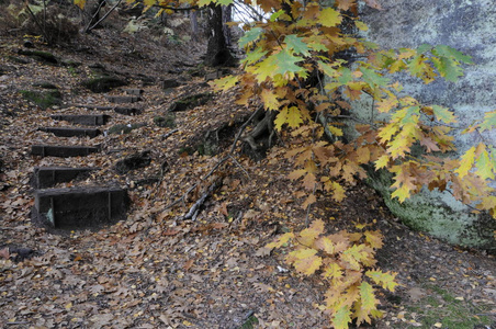 落下 季节 秋天 岩石 乡村 自然 风景 楼梯 森林