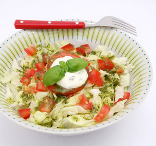 沙拉 餐具 蔬菜 小吃 维生素 敷料 番茄 酸奶 草本植物