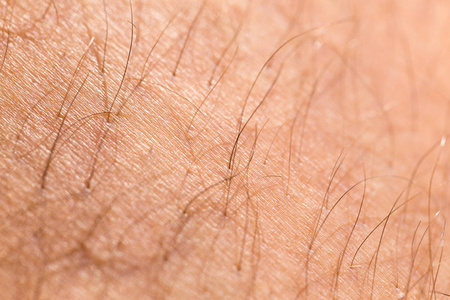 人类毛发皮肤细节图片