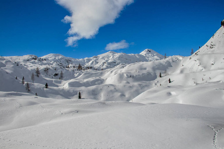 娱乐 地理 徒步旅行 自然 寒冷的 公园 高的 阿尔卑斯山
