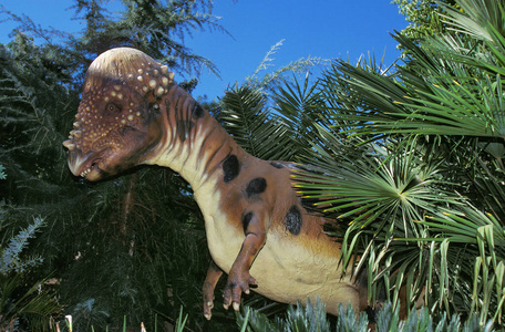 大型头龙史前动物白垩纪图片
