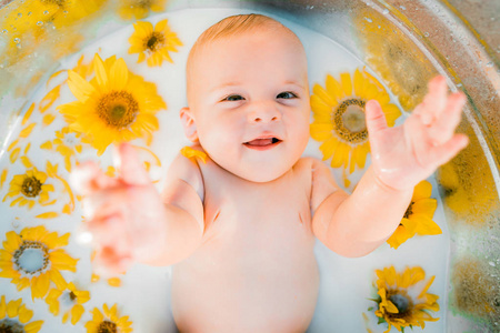 Cute little baby boy portrait in milk bath with sunflowers. Heal