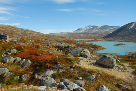 石头 植物 碎石 高地 风景 欧洲 自然 斯堪的纳维亚 苍穹