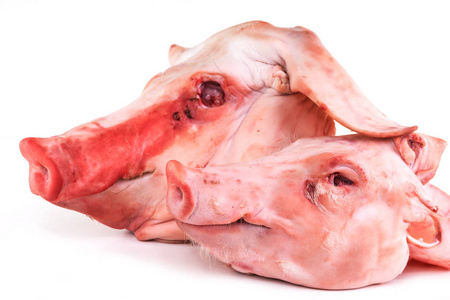 蛋白质 晚餐 营养 猪肉 美味的 动物 烹饪 饮食 脂肪