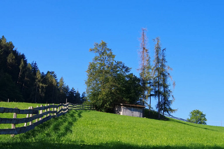 乡村 风景 美丽的 自然 森林 春天 草地 季节 领域 小山