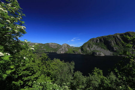 全景图 苍穹 夏天 挪威 天空 见解 徒步旅行 远景 夏季