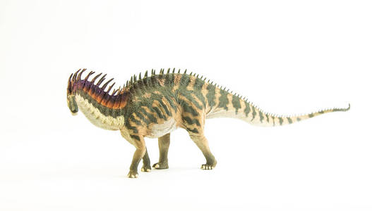 Amargasaurus，白底恐龙。