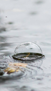 水面上有气泡。雨滴落在水面上。