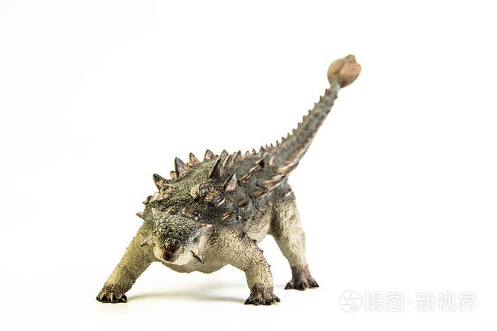 甲龙白底恐龙