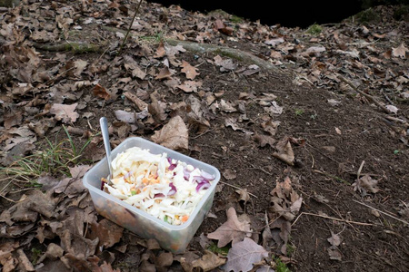 装在塑料容器里用来野餐的沙拉图片