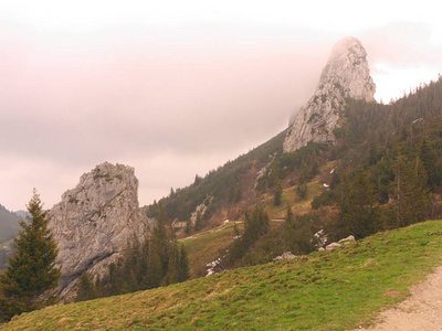 森林 旅行 日落 徒步旅行 风景 岩石 阿尔卑斯山 欧洲