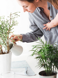 爱好 园艺 作业 绿色植物 自然 花园 生态学 盛开 温室