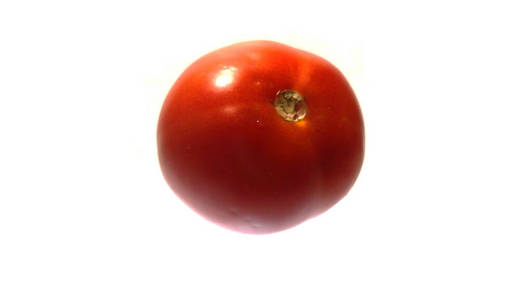 白底番茄