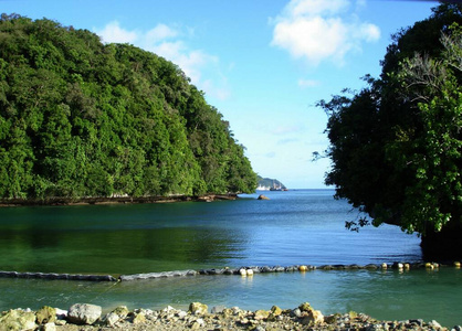 放松 目的地 海湾 旅游业 天空 棕榈 天堂 假日 帕劳