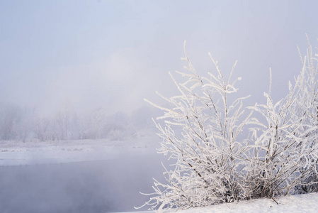 场景 旅行 自然 冬天 季节 国家 美女 瑞典 天空 风景
