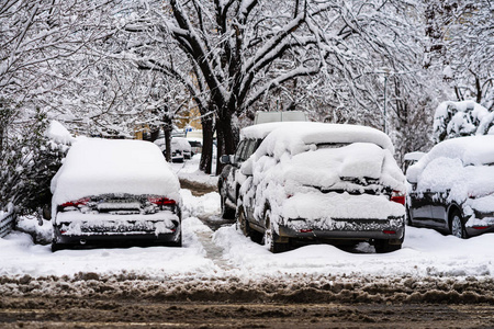 汽车被今年第一场雪覆盖。赢