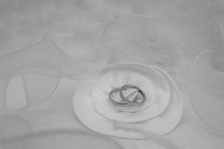 wedding concept. Two rings on a white background. 
