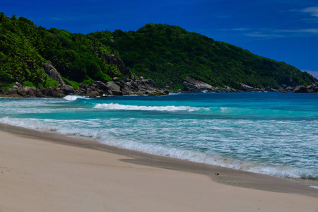 积云 天空 夏天 棕榈树 风景 海滩 波浪 太阳 撞车 层积云