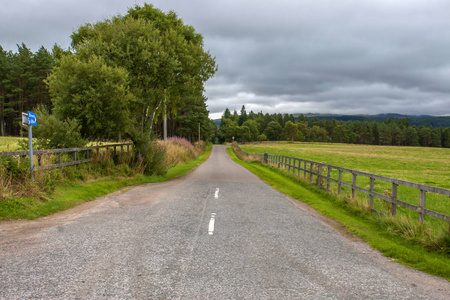 风景 卡雷特 夏天 草地 空的 公路 苏格兰 沥青 领域