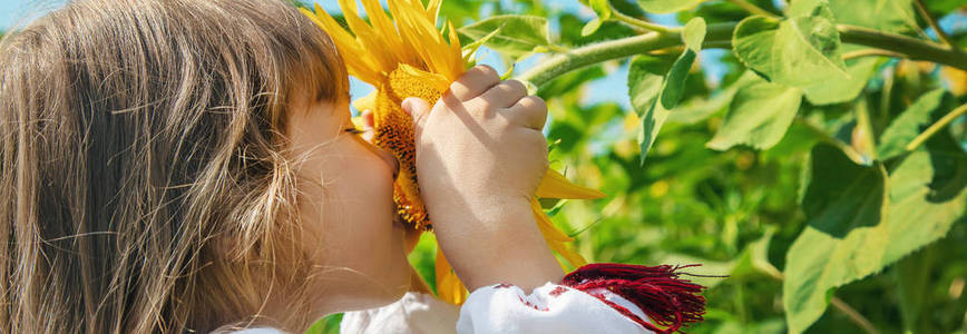 向日葵地里穿着绣花衬衫的孩子。乌克兰人。选择性聚焦。