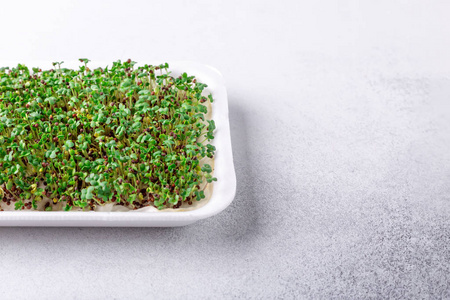 种植自己的食物图片