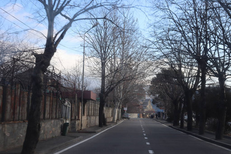 城市 自然 公园 旅行 街道 季节 场景 风景 寒冷的 日落