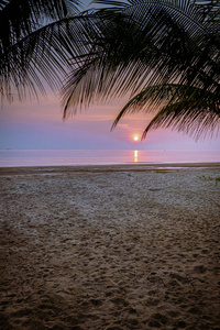 泰国日落海滩棕榈树丰盛区