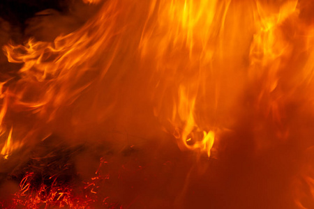 自然 美丽的 要素 特写镜头 危险 运动 能量 纹理 火焰