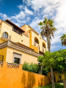 美丽的西班牙殖民地建筑和花园里高高的棕榈树的美丽照片