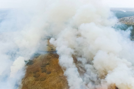 闪电 破坏 紧急情况 危险 火焰 帮助 轮廓 荒野 森林砍伐