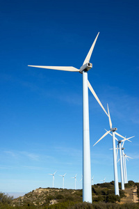 磨坊 生态学 新的 涡轮机 能量 植物 天空 风车 生产