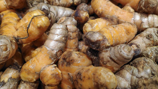 医学 草本植物 热带 姜黄 印第安人 栽培 抵抗 市场 风味