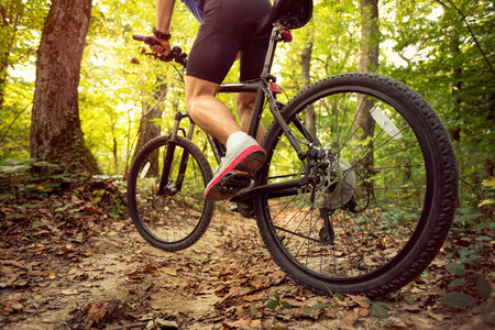 自然 自行车 极端 骑手 个人 比赛 周期 森林 竞争 试验