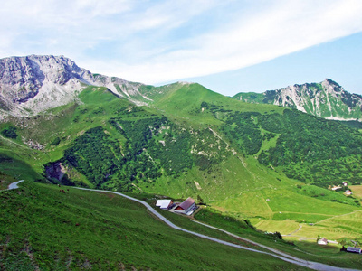 落基山脉 小山 全景图 高的 森林 地质学 冒险 岩石 山谷