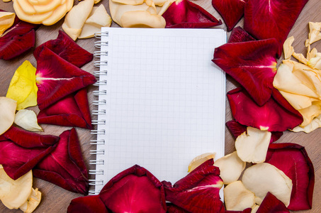 礼物 浪漫 卡片 复制 丝带 自然 纸张 婚礼 粉红色 浪漫的
