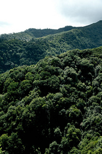 美丽的 海报 自然 奇观 天空 墙纸 艺术照 旅行 葡萄牙