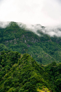 森林 墙纸 雨林 风景 全景 旅游业 天空 丘陵 麦迪拉