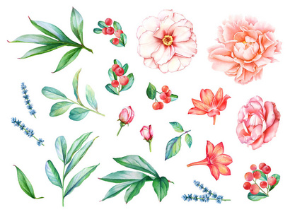 艺术 植物 玫瑰 花束 粉红色 自然 薰衣草 浪漫的 花园