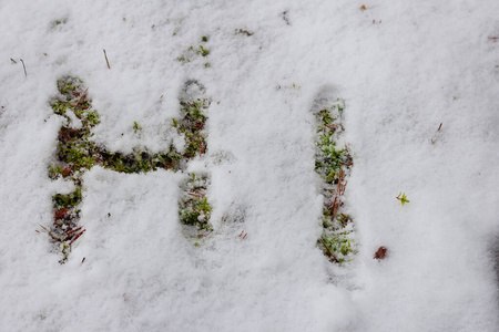 你好，上面刻有春雪融化的字样