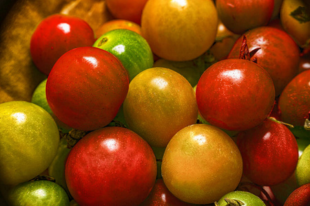 樱桃 沙拉 素食主义者 饮食 生产 自然 分支 食物 蔬菜