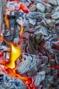 燃料 热的 火焰 夏天 余烬 发光 木材 温暖的 特写镜头