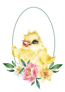 可爱的黄鸡在一个框架与水仙花。可爱的明信片复活节快乐。